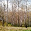 Фотогалерея » 2015 год 